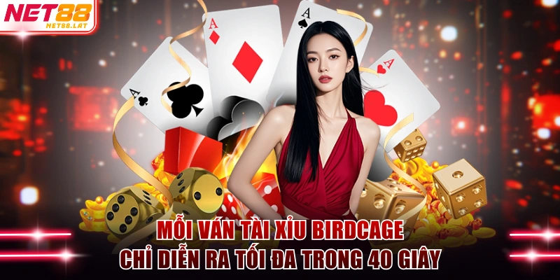 Tài Xỉu Birdcage Là Gì? Hướng Dẫn Tân Binh Chơi Từ A - Z 3 Mỗi ván Tài Xỉu Birdcage chỉ diễn ra tối đa trong 40 giây