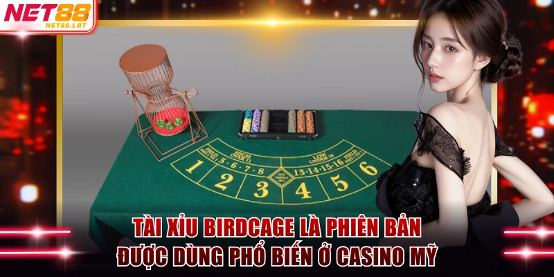 Tài Xỉu Birdcage Là Gì? Hướng Dẫn Tân Binh Chơi Từ A - Z 2 Tài Xỉu Birdcage là phiên bản được dùng phổ biến ở Casino Mỹ